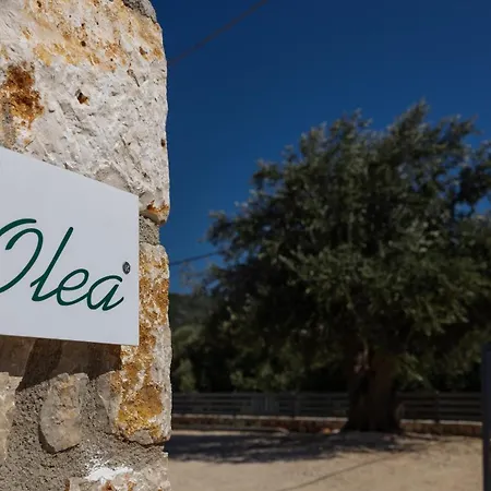 Διαμέρισμα Olea Ραζάτα