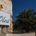 Apartament Olea Razáta